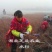产地批发一年生水杉树50公分高水杉种苗地径零点八水杉