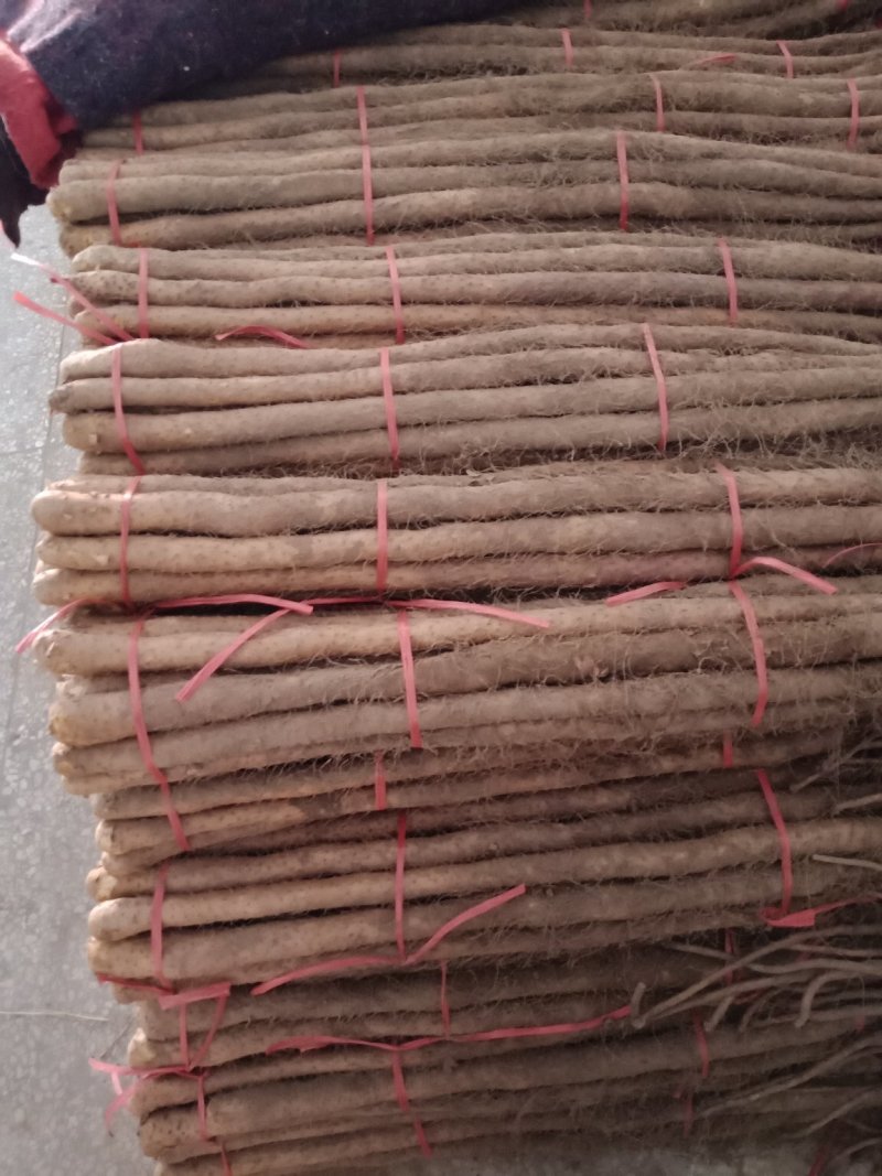铁棍山药，品质好有粗度