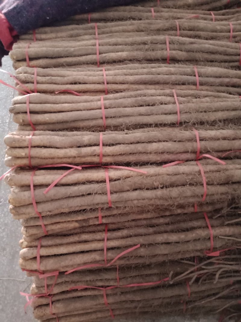 铁棍山药，品质好有粗度
