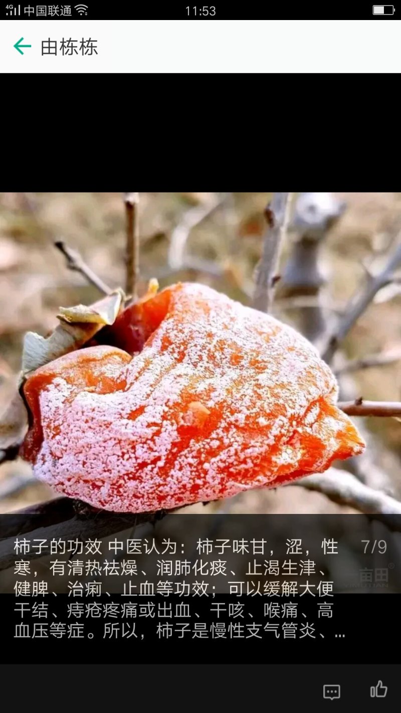 柿饼