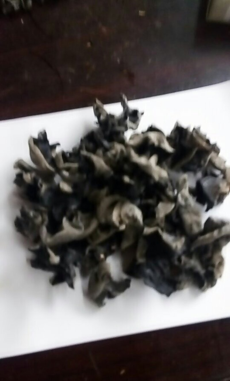 大量求购1.2以下伏耳以及2.0以下伏耳