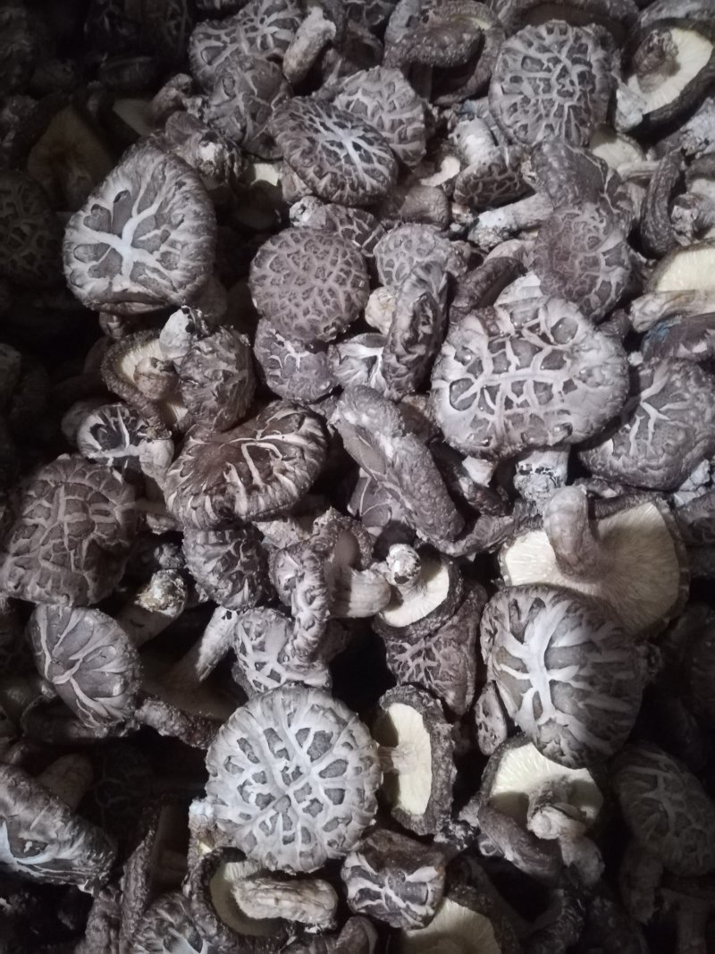 香菇