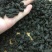 福建安溪普洱茶一斤490块