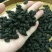 福建安溪普洱茶一斤490块