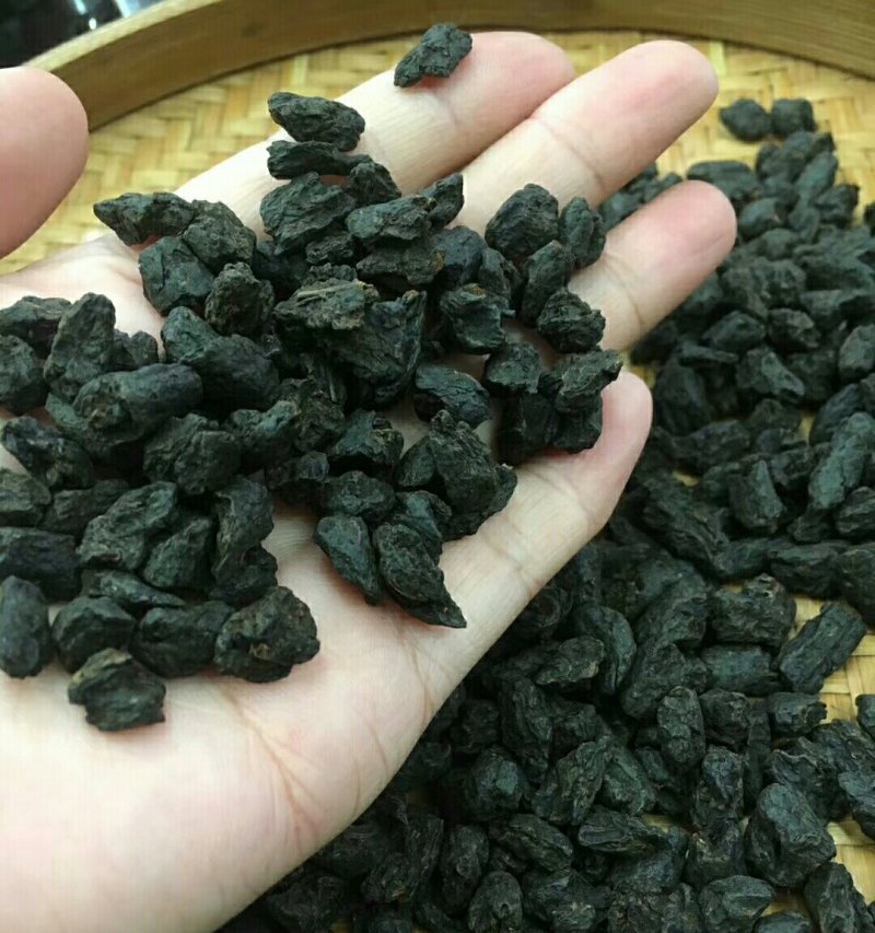 福建安溪普洱茶一斤490块