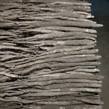 小白嘴山药代办代销质量不错