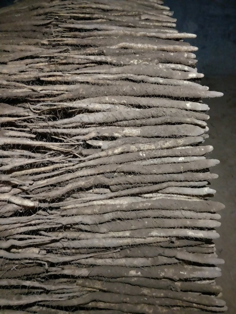 小白嘴山药代办代销质量不错