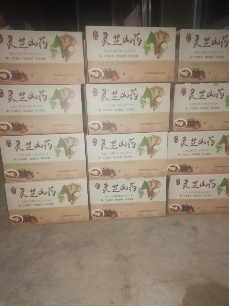 灵芝山药