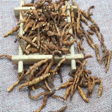 九节菖蒲批发各种规格中药材饮