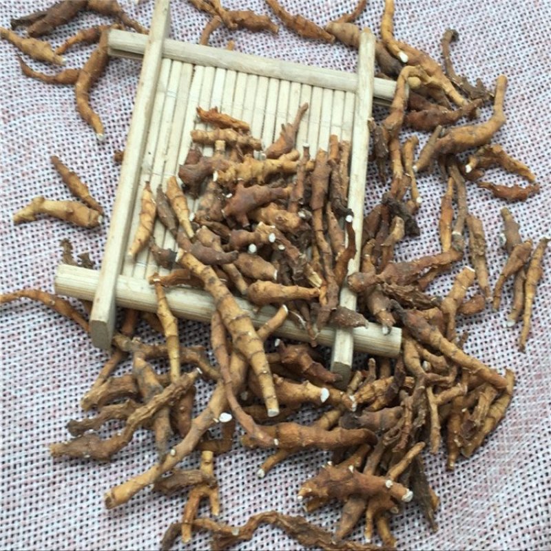 九节菖蒲批发各种规格中药材饮