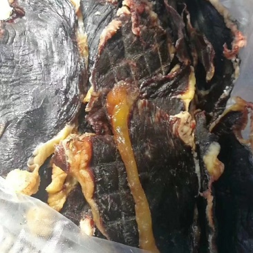 牛肉干
