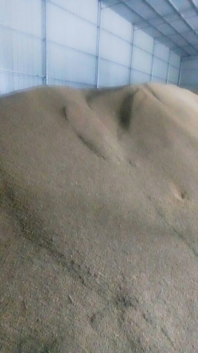 糯稻谷