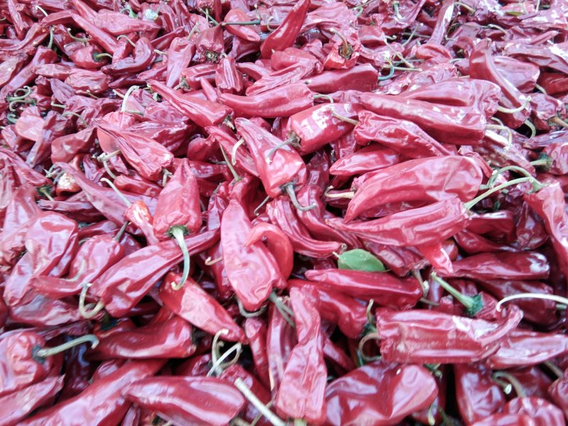 北京红和花皮大量上市