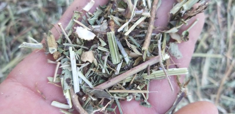 牛草，羊草，草粉，花生秧，正阳中原草业