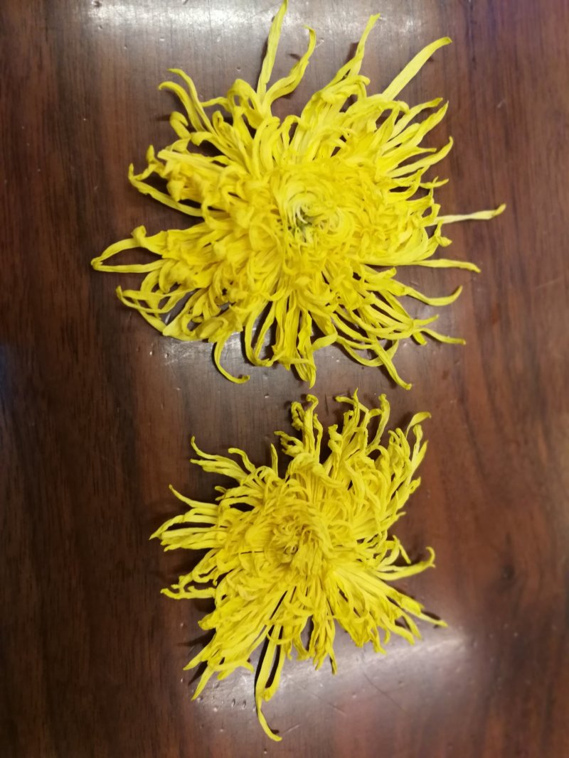 金丝黄菊