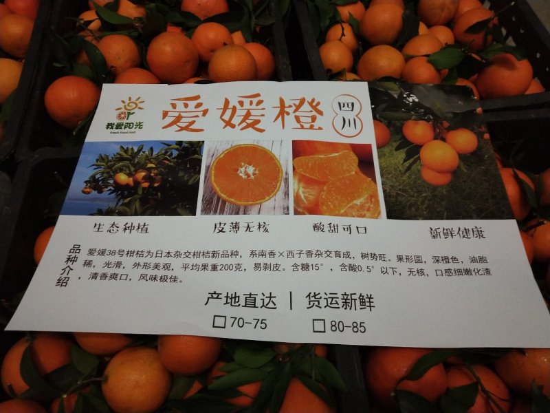 正宗产地旗舰店爱媛38果一手货源长期供应
