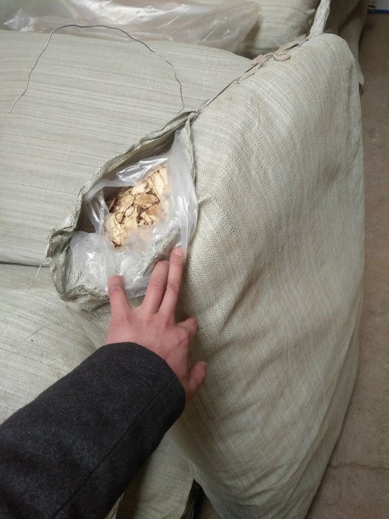 当归岷县全归片
