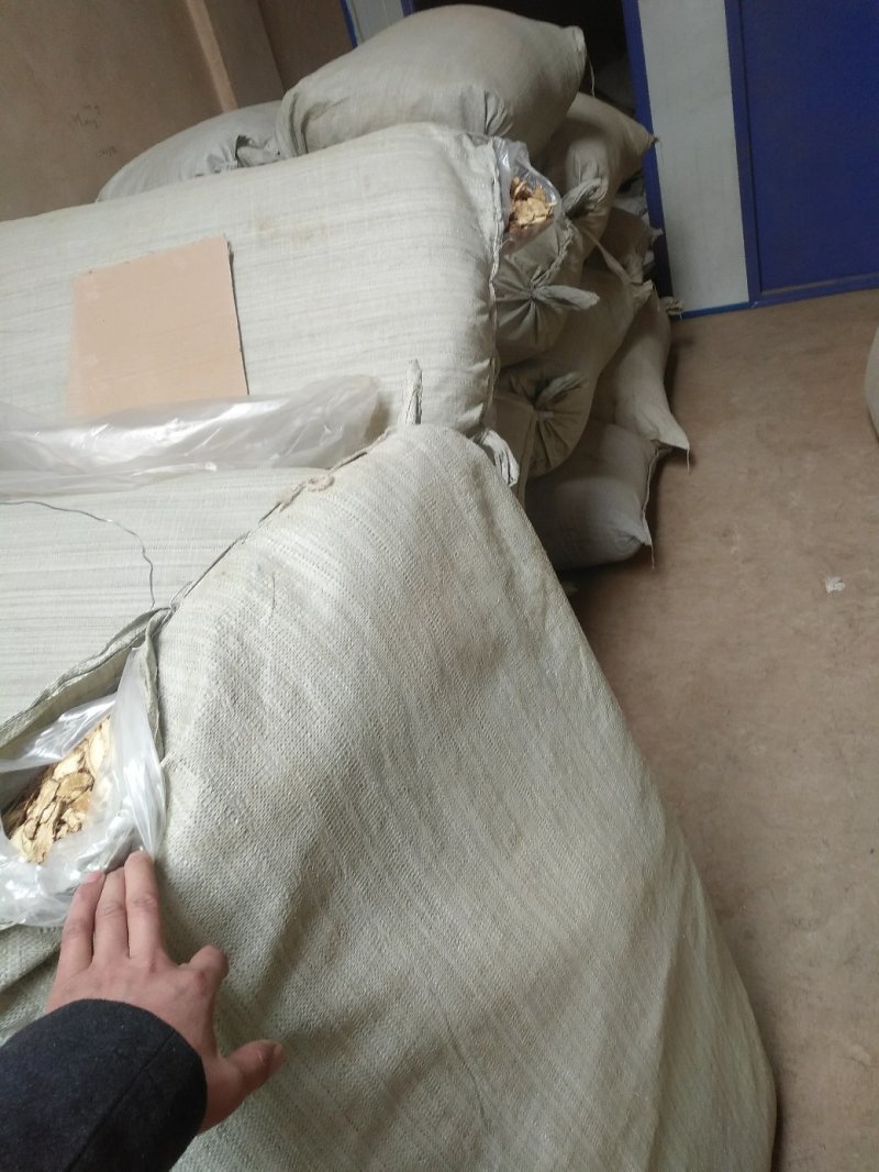 当归岷县全归片