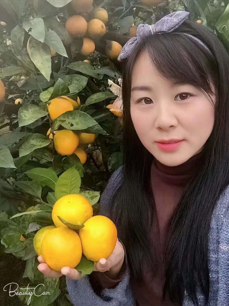 热销温州蜜橘一级果二级果罐头果以质论价