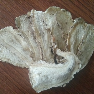 当归岷县全归片