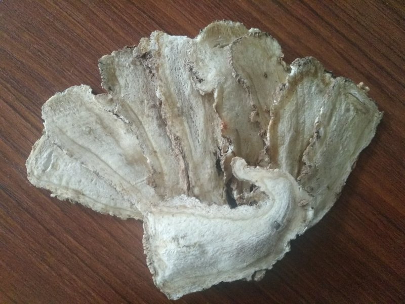 当归岷县全归片