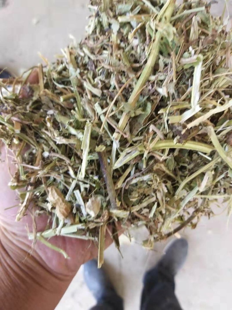 花生秧花生秧羊草花生秧草粉花生秧颗粒