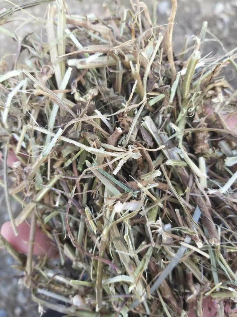 花生秧花生秧羊草花生秧草粉花生秧颗粒