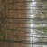 3-8公分速生白蜡量大一级货源