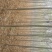3-8公分速生白蜡量大一级货源