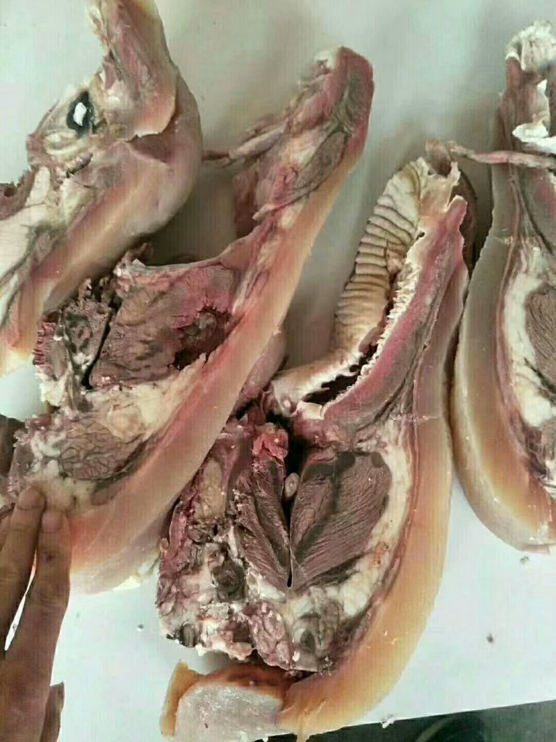 牛头肉