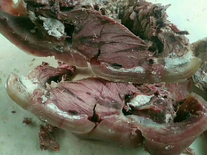 牛头肉