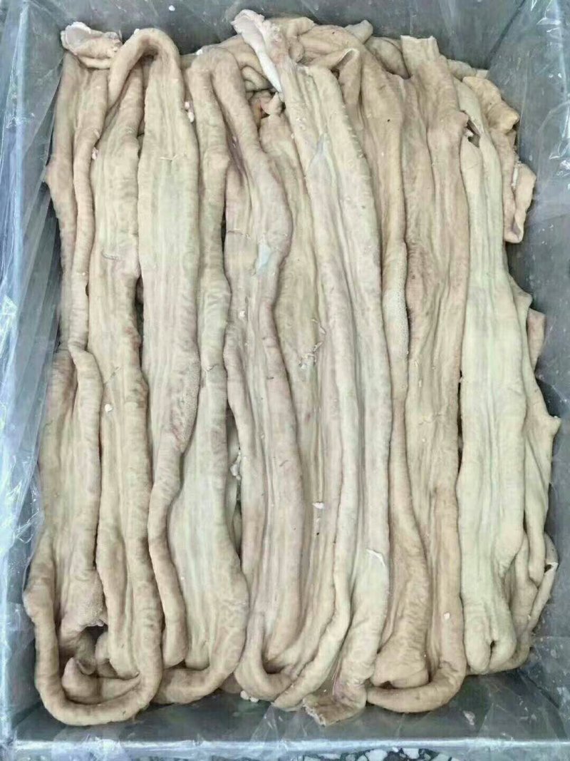 牛小肠