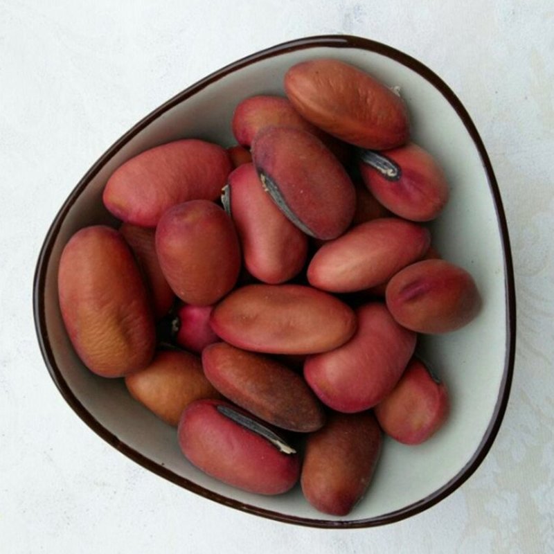 刀豆中药材批发零售