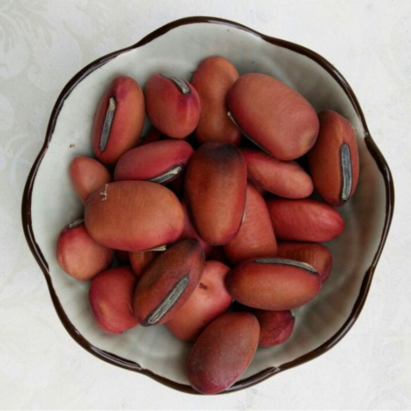 刀豆中药材批发零售