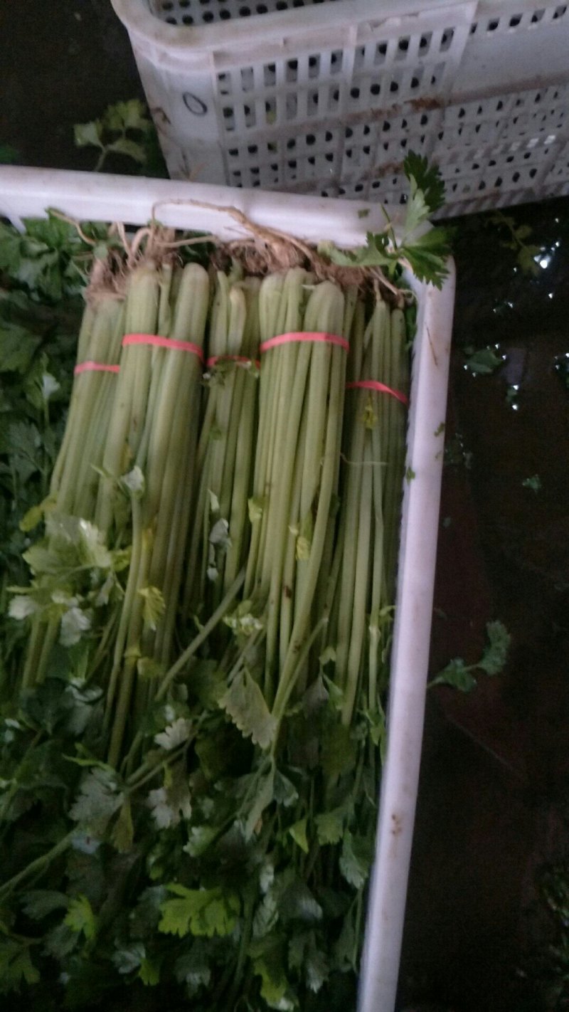 河北永年蔬菜市场