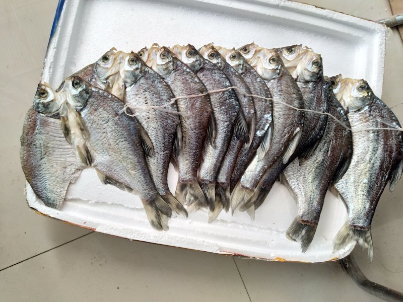 风味武昌鱼鳊鱼干