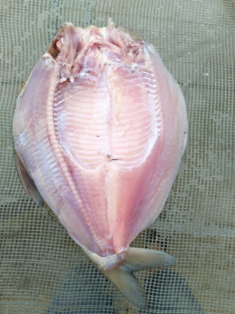 风味武昌鱼鳊鱼干