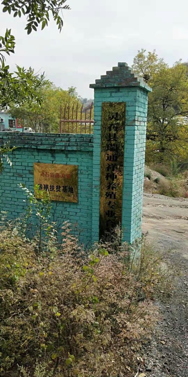 驴