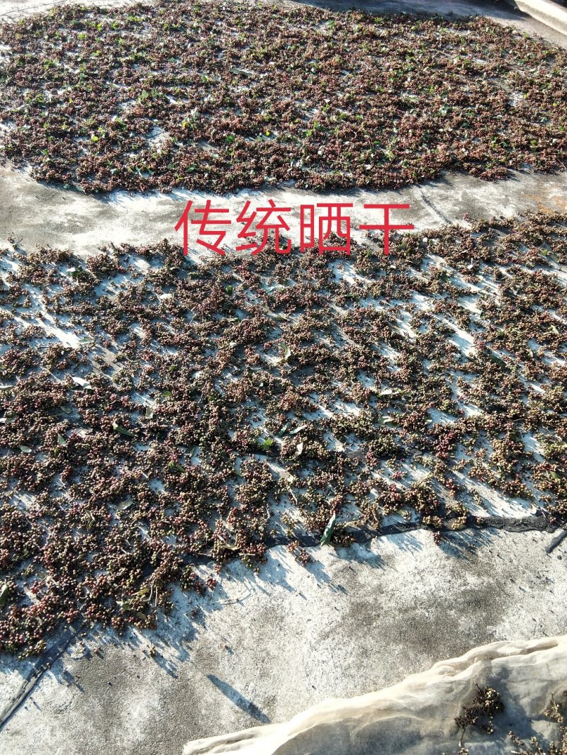 0差评麻椒青花椒主厨之选川菜必备包邮