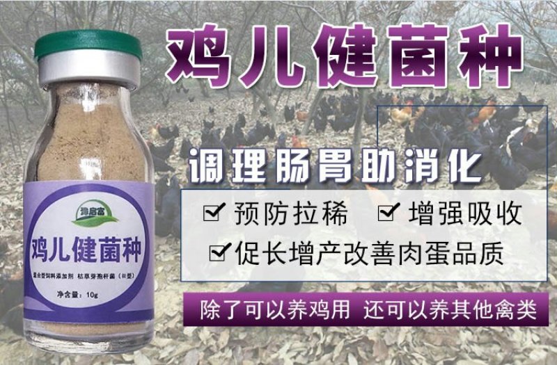 厂家批发销售养鸡em菌种小鸡预防拉稀专用的养鸡益生菌