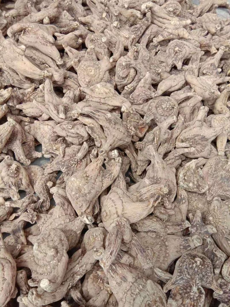 纯净白芨长期供应无杂质欢迎咨询