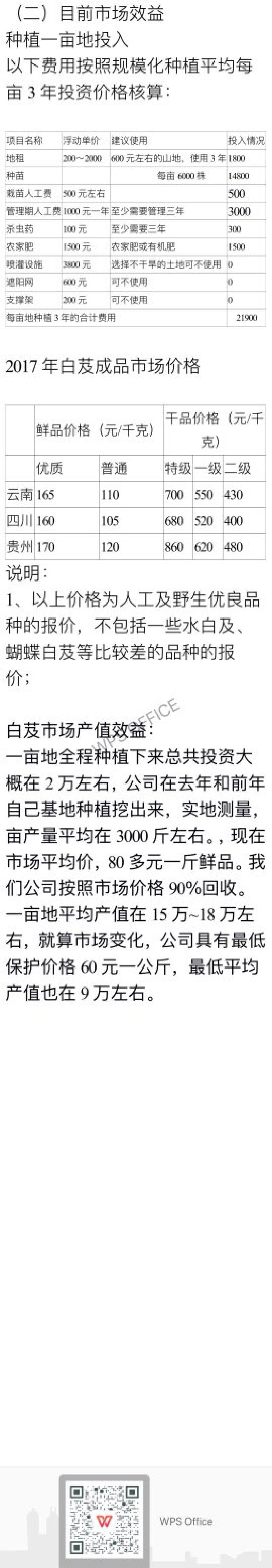 三叉紫花大白芨