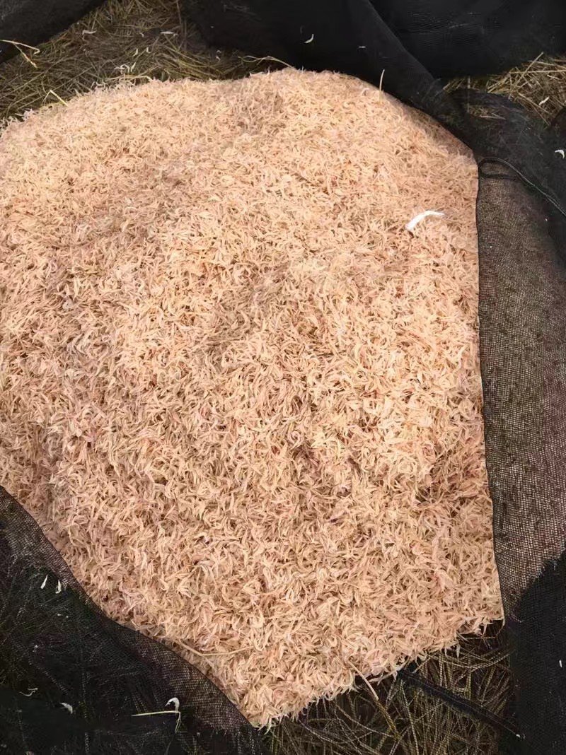 天然淡干虾皮