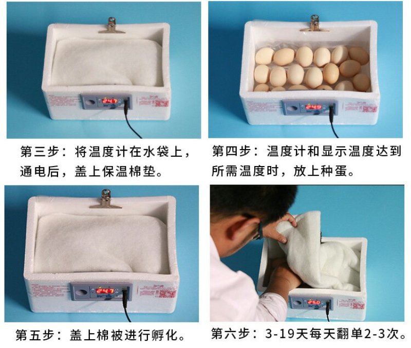 水床孵化箱