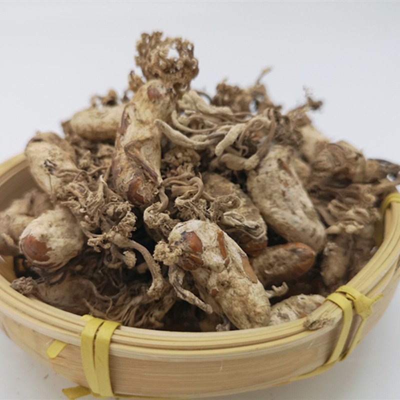 金蝉花批发各种规格中药材