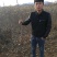 123苹果苗，抗寒，产量高