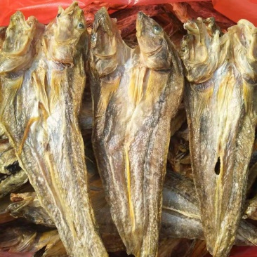 细鳞鱼干(地区称谓较多，当地称胖头鱼，山东称光鱼，)