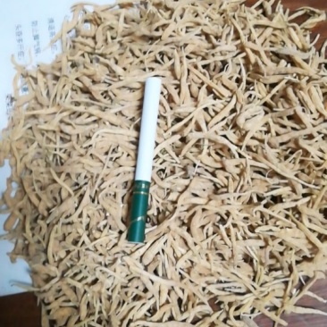 太子参干货