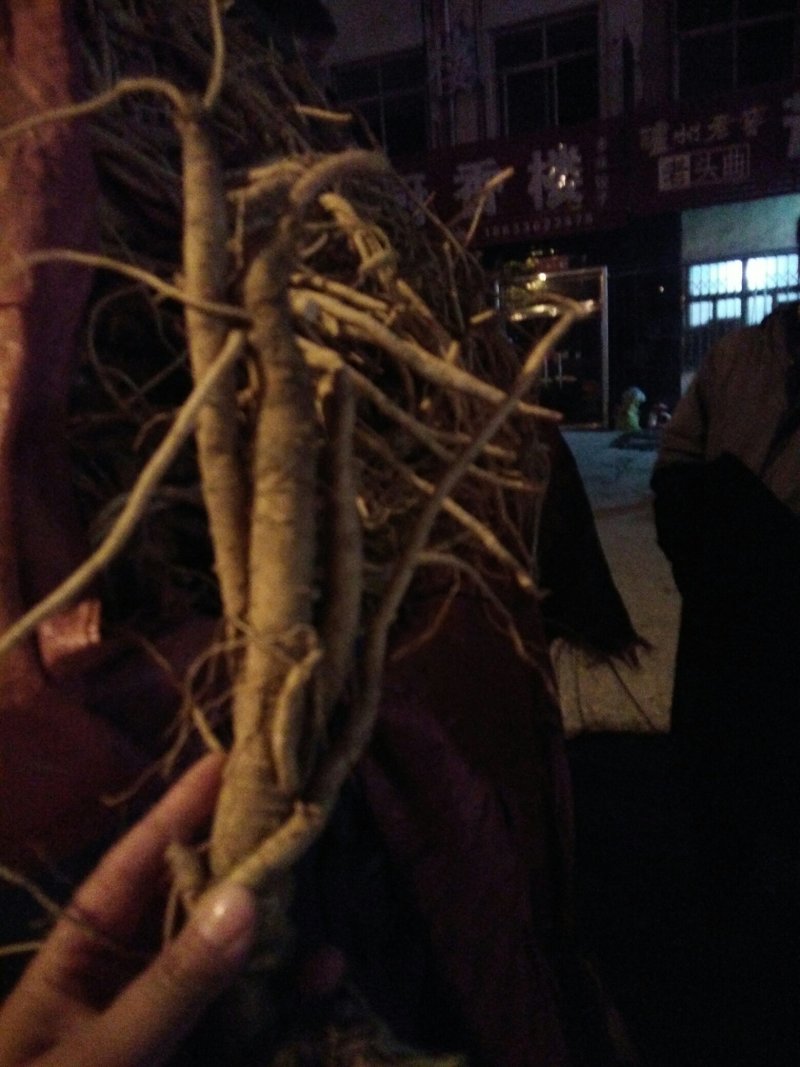 防风