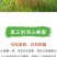 纯天然土蜂蜜